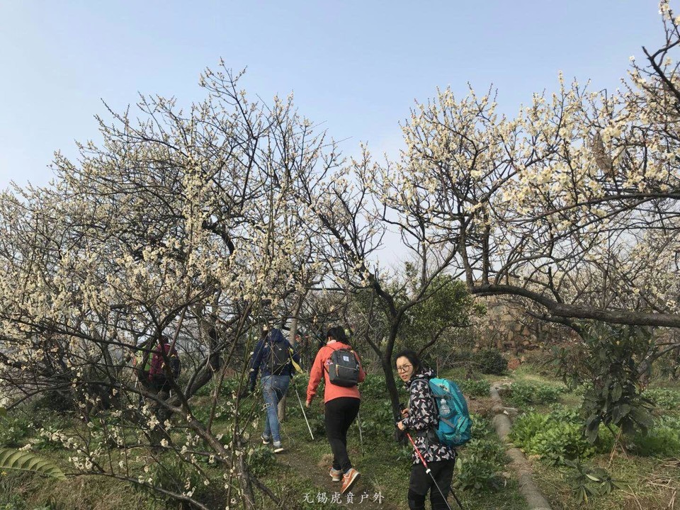 mmexport1520150015428