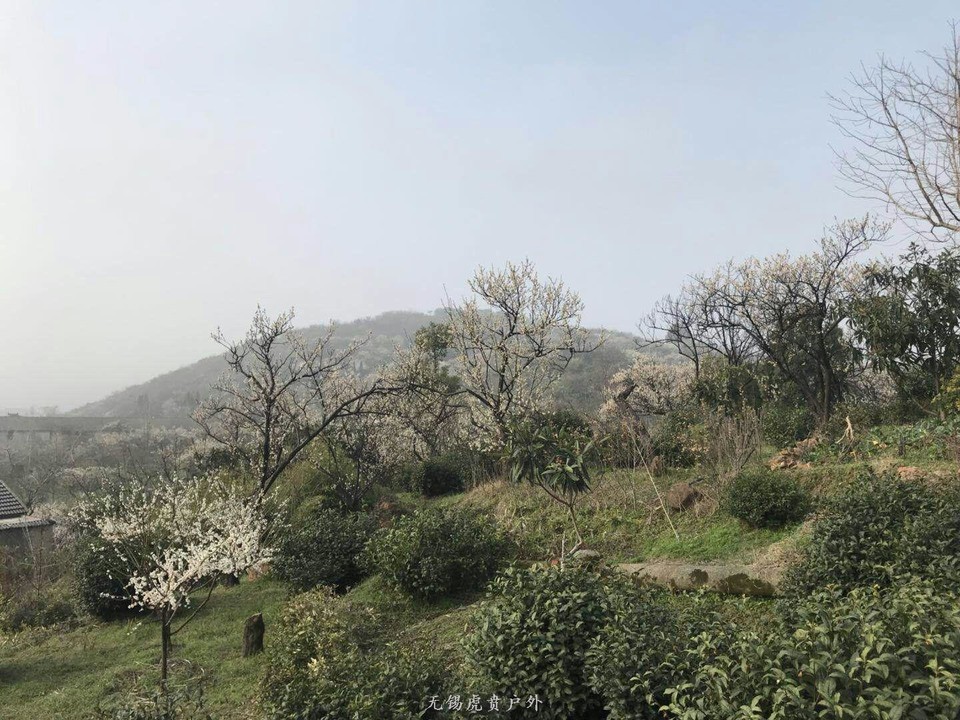 mmexport1520150018634