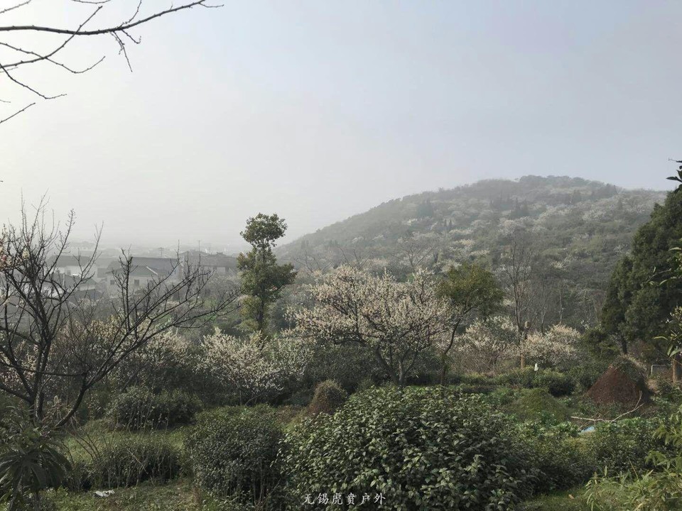 mmexport1520150022979