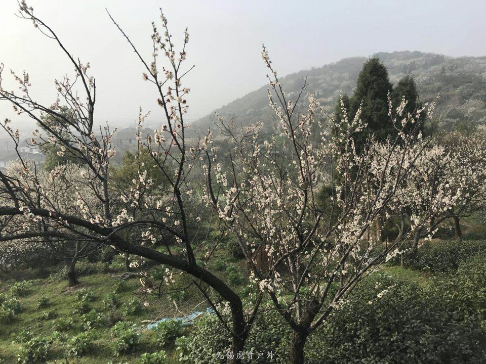 mmexport1520150025028