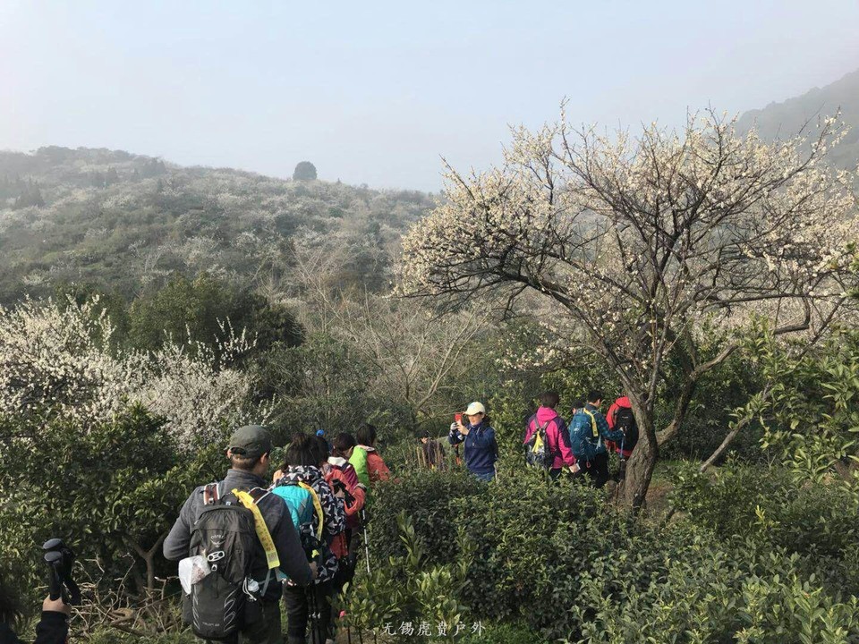 mmexport1520150027301