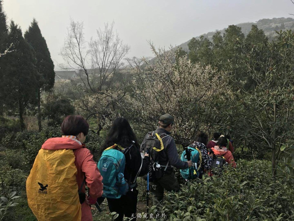 mmexport1520150031158