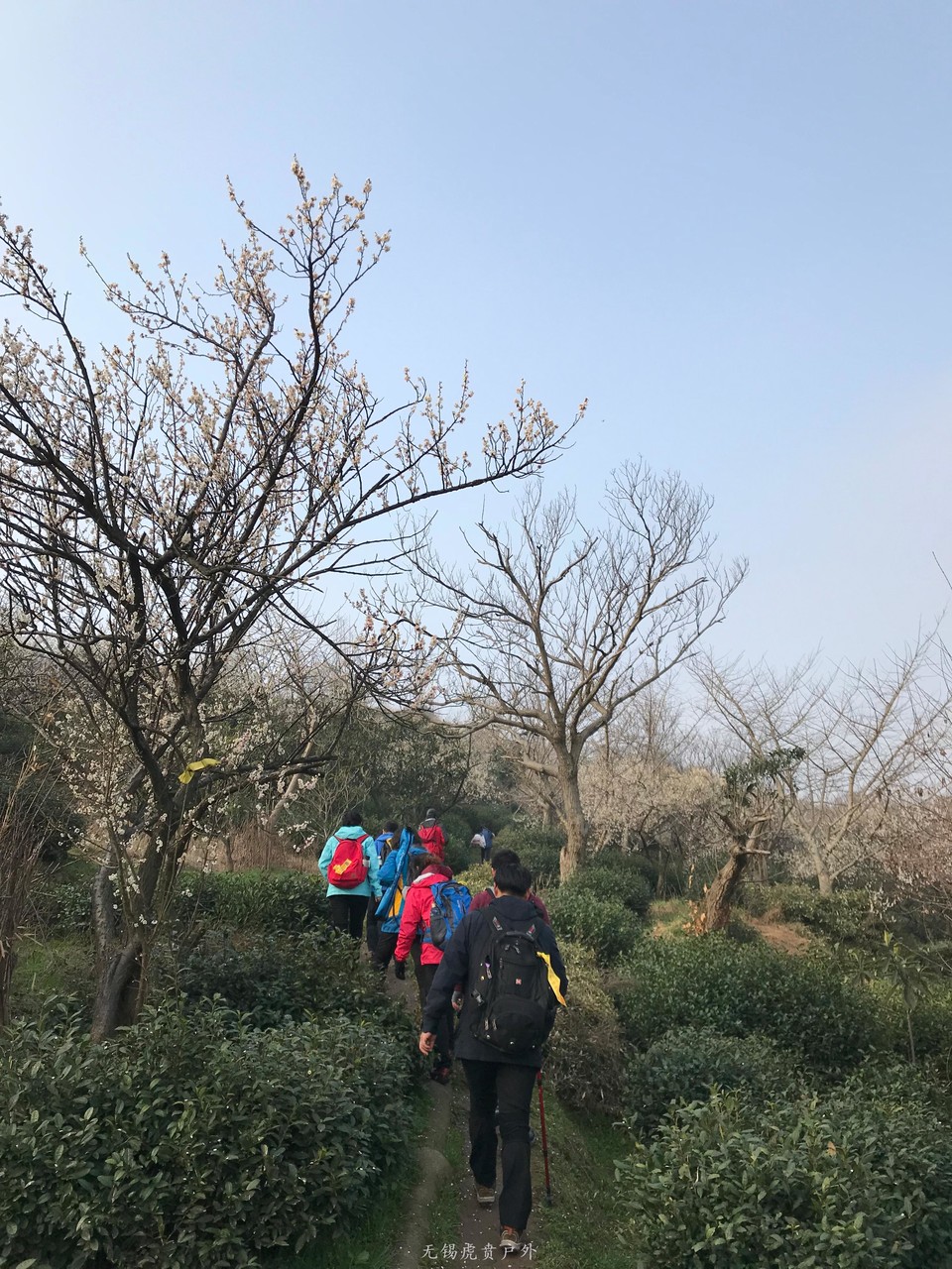 mmexport1520150040857