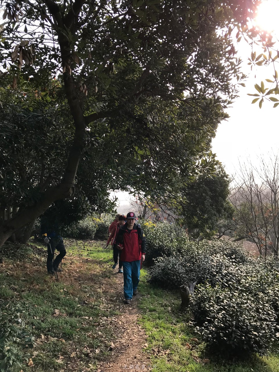 mmexport1520150062135