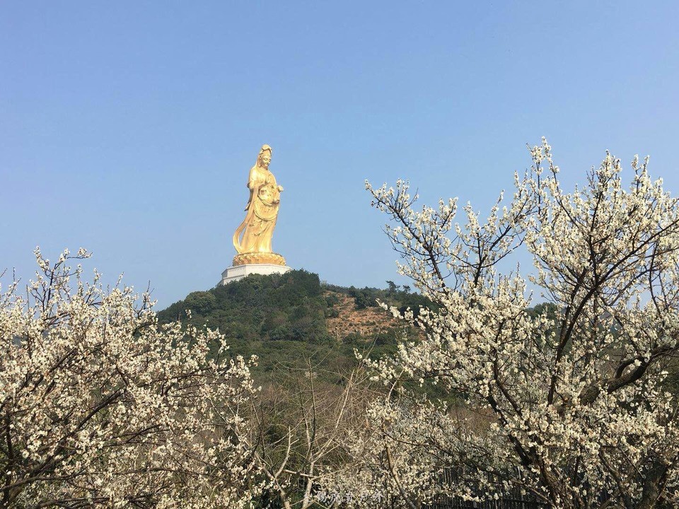 mmexport1520150147603