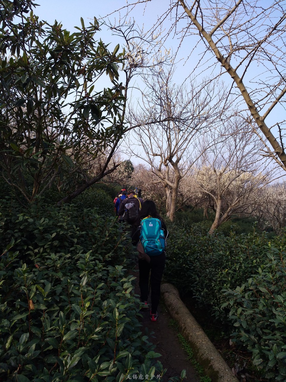 mmexport1520216263652