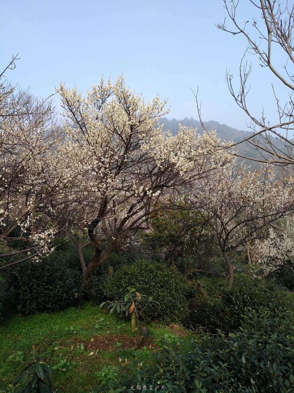 mmexport1520216272689