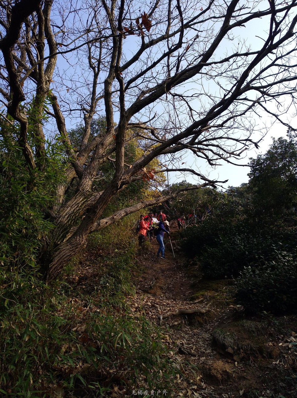 mmexport1520216293715