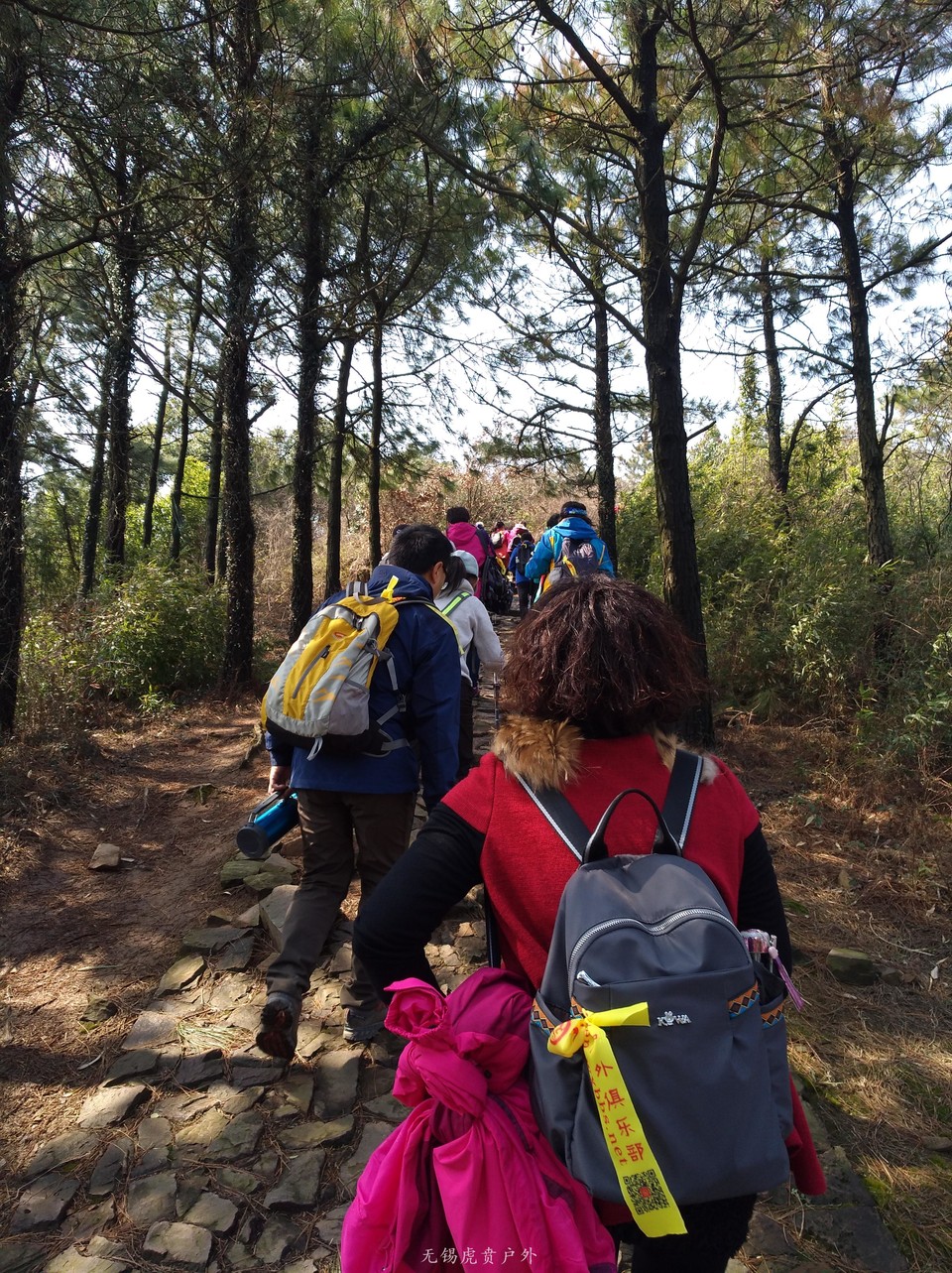 mmexport1520216311516