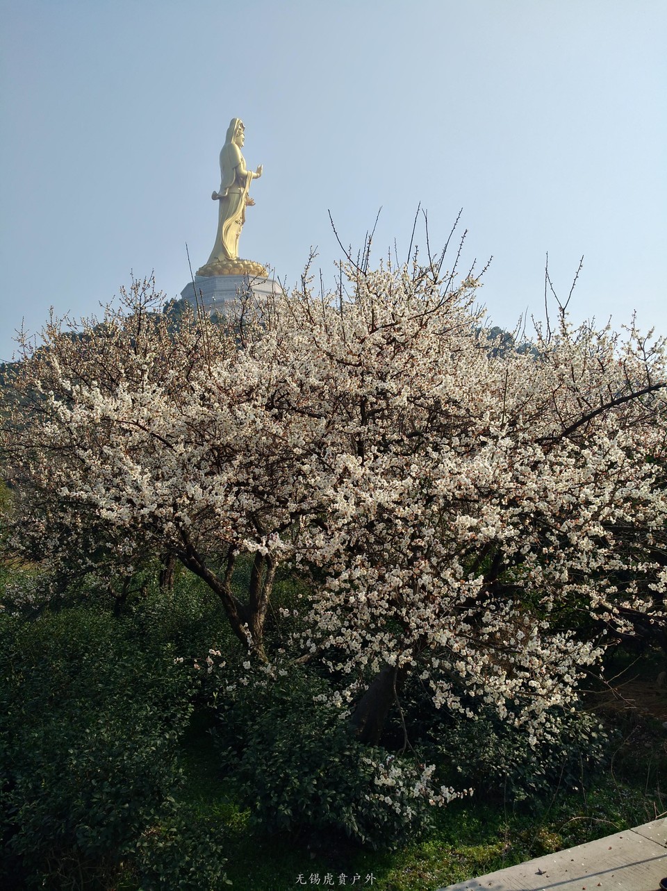 mmexport1520216374483