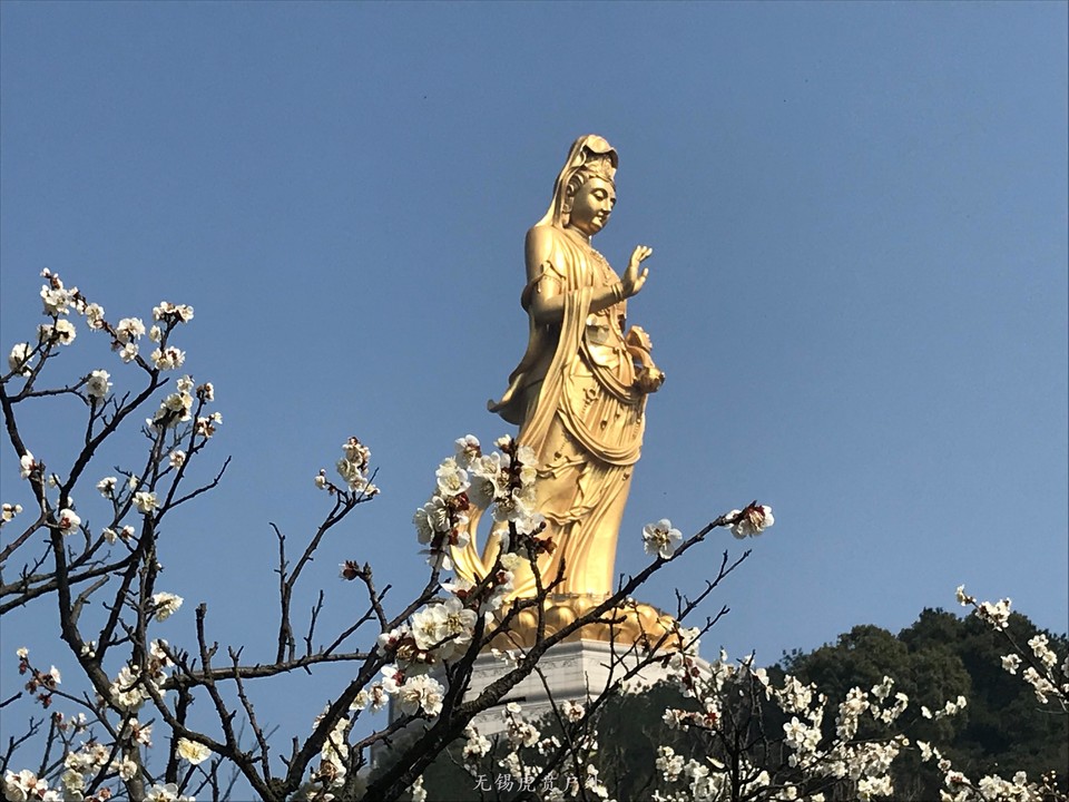 mmexport1520216383656