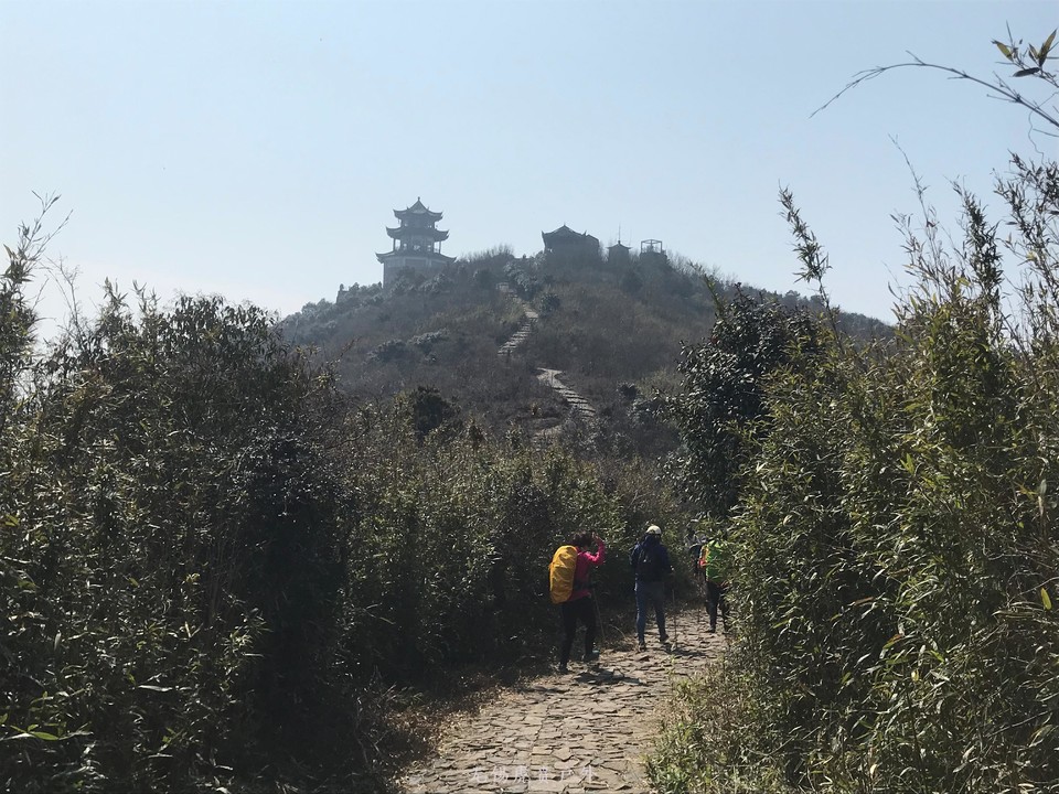 mmexport1520216421894