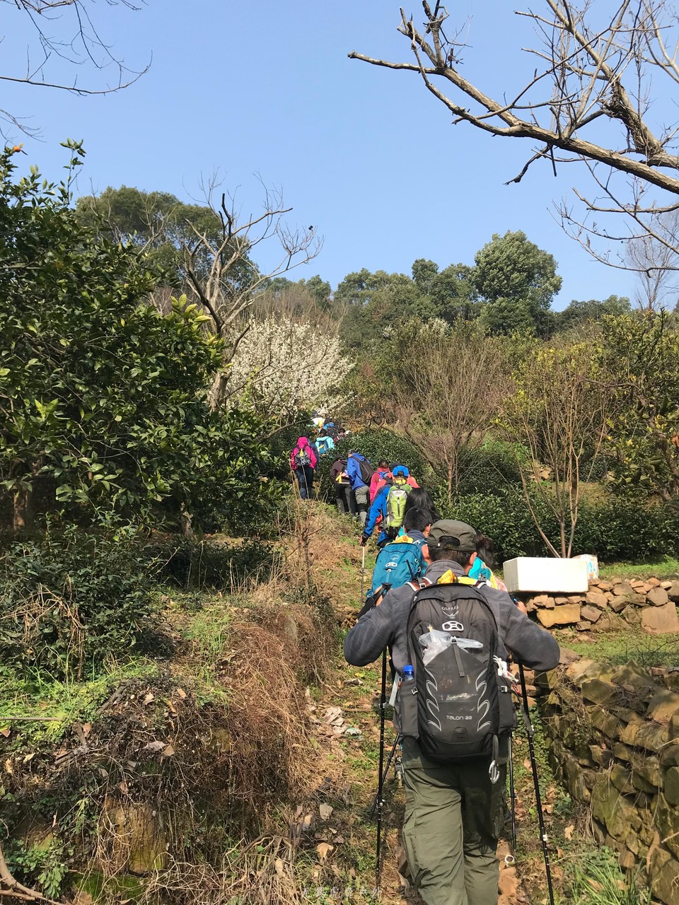 mmexport1520216435780