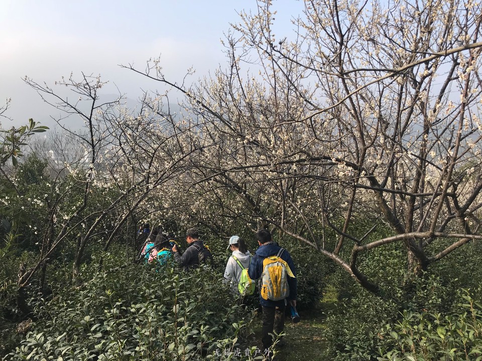 mmexport1520216458362