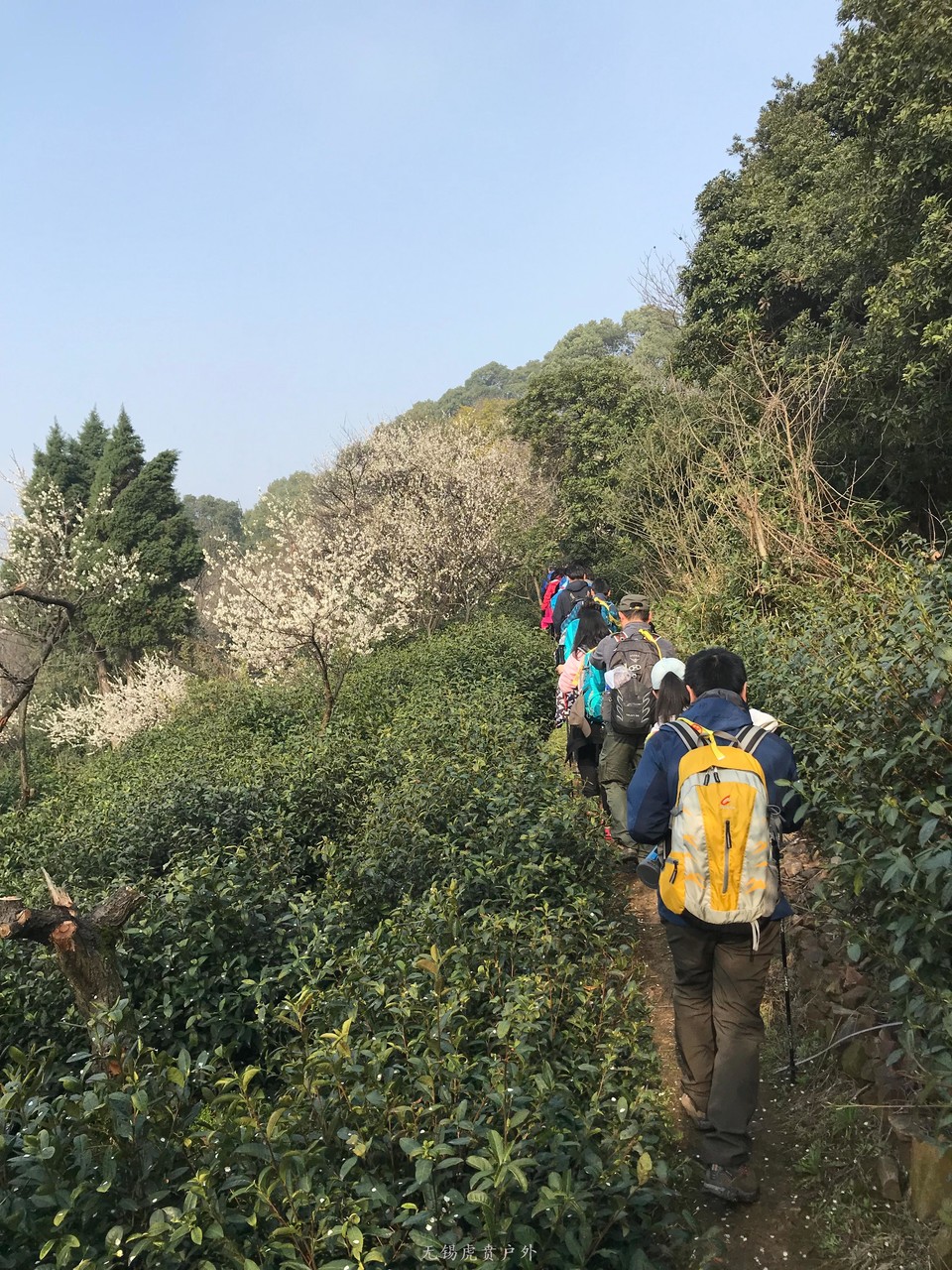 mmexport1520216470745