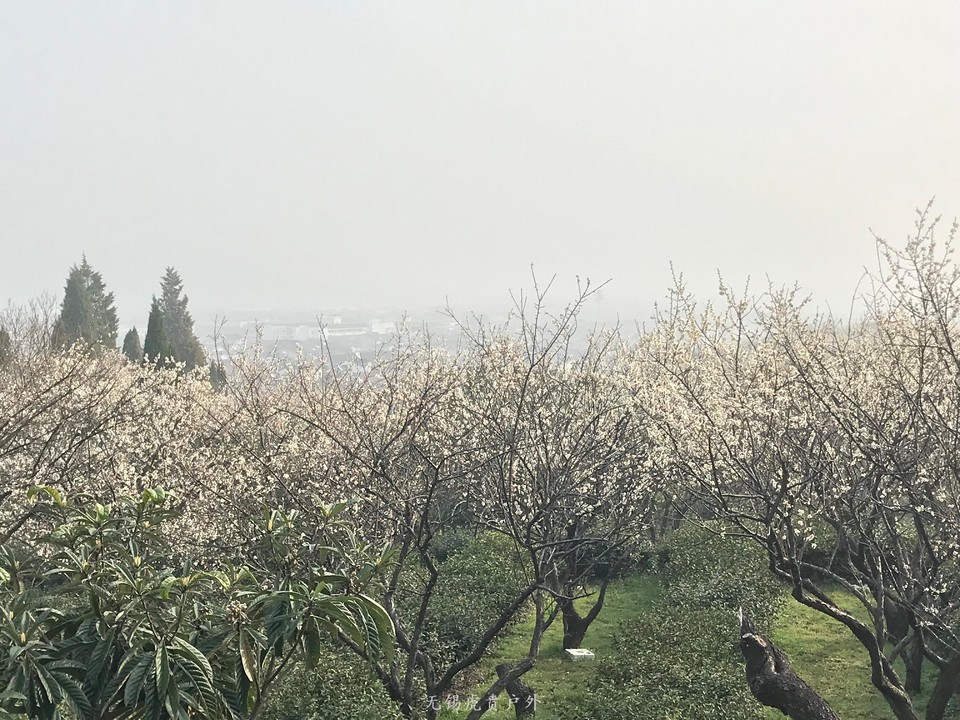 mmexport1520216483718