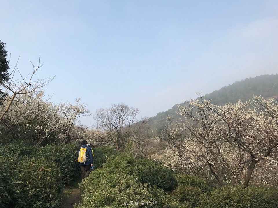 mmexport1520216508379