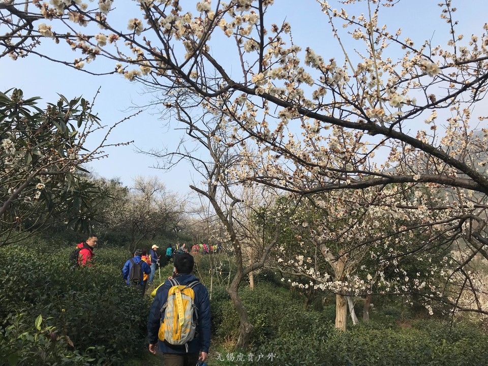 mmexport1520216516312