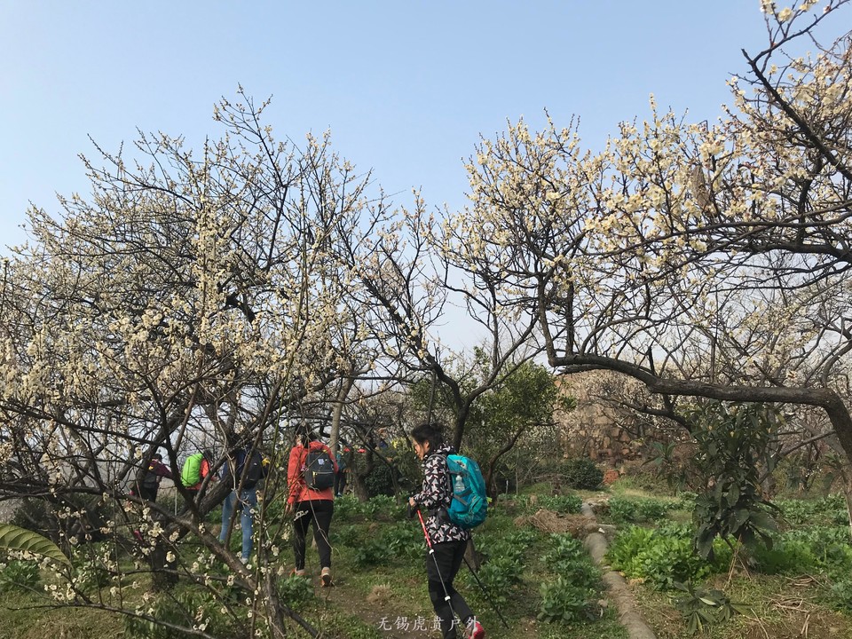 mmexport1520216538578