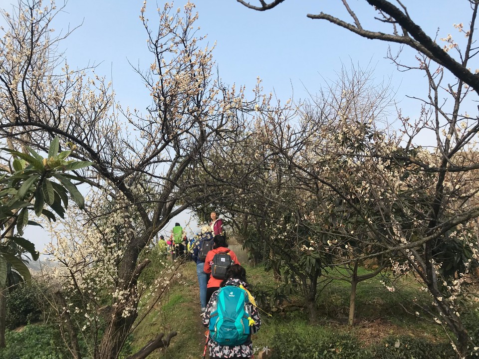 mmexport1520216550712