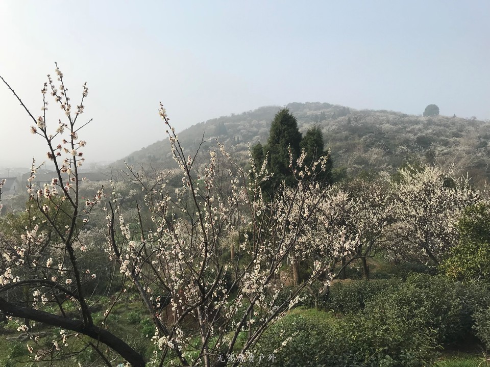 mmexport1520216559090