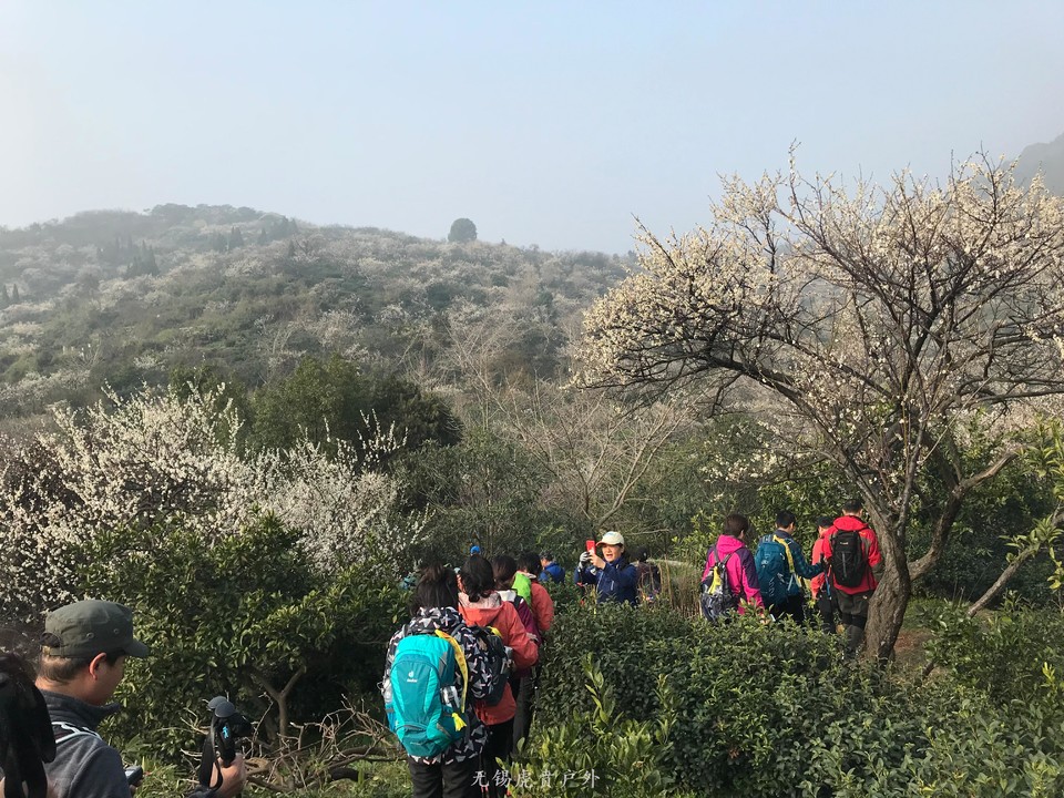 mmexport1520216568513