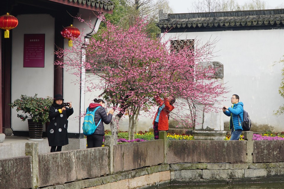 mmexport1520091146539