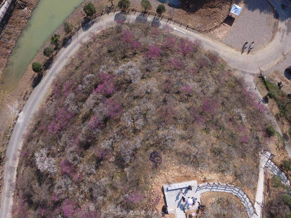 mmexport1520091313462