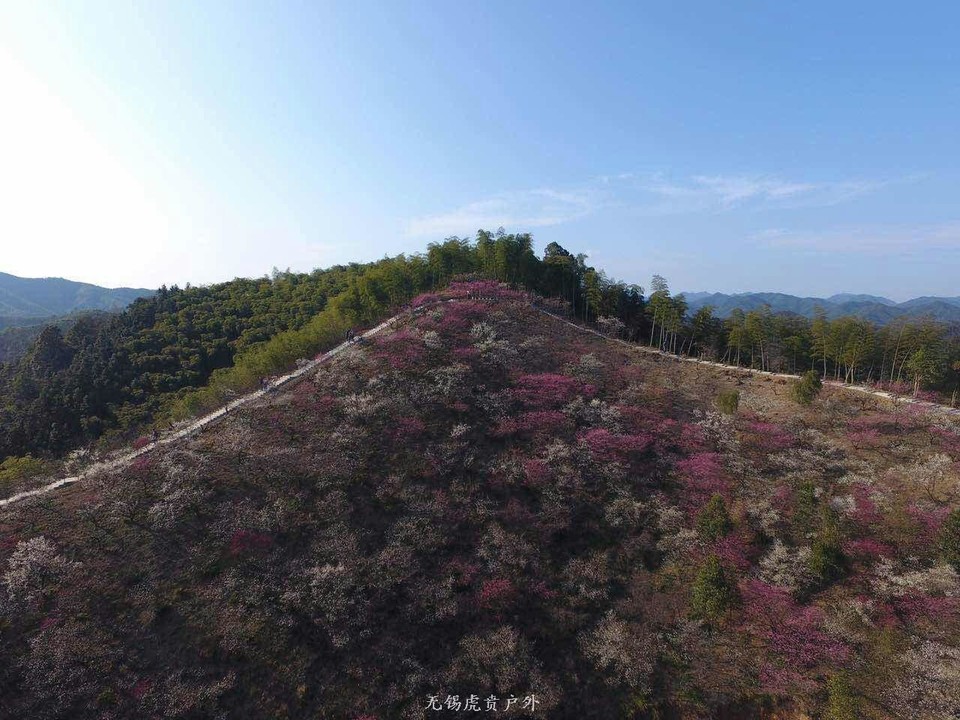 mmexport1520091316958