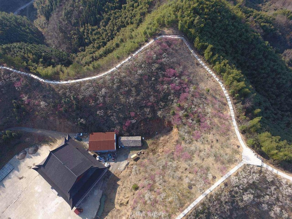 mmexport1520091322422