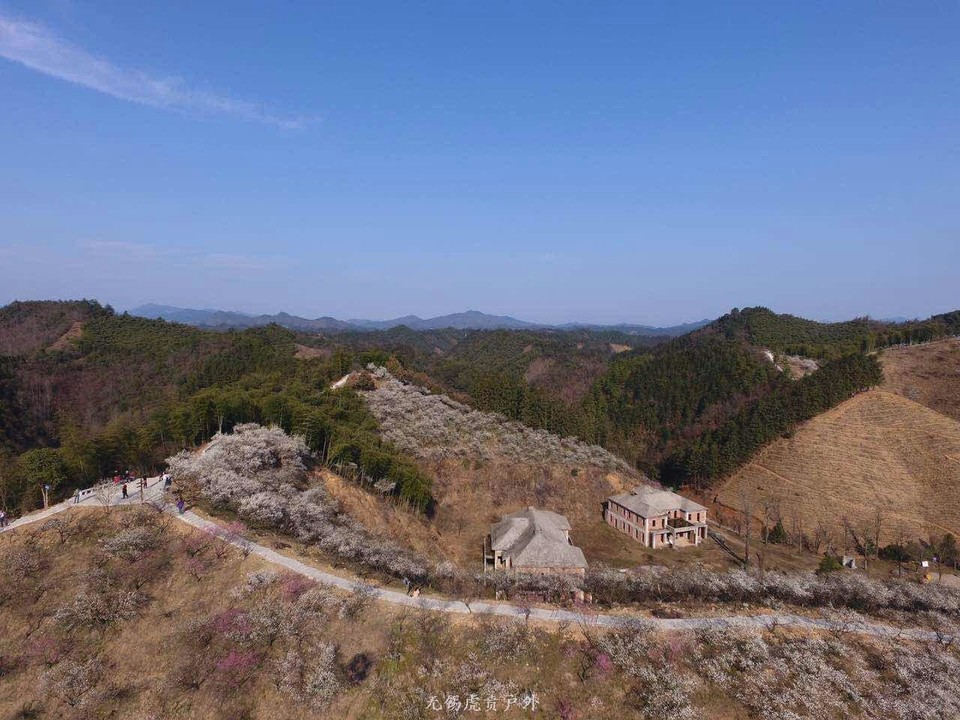 mmexport1520091382675