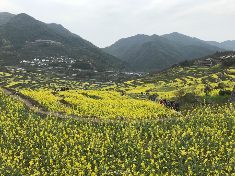 mmexport1522024295624