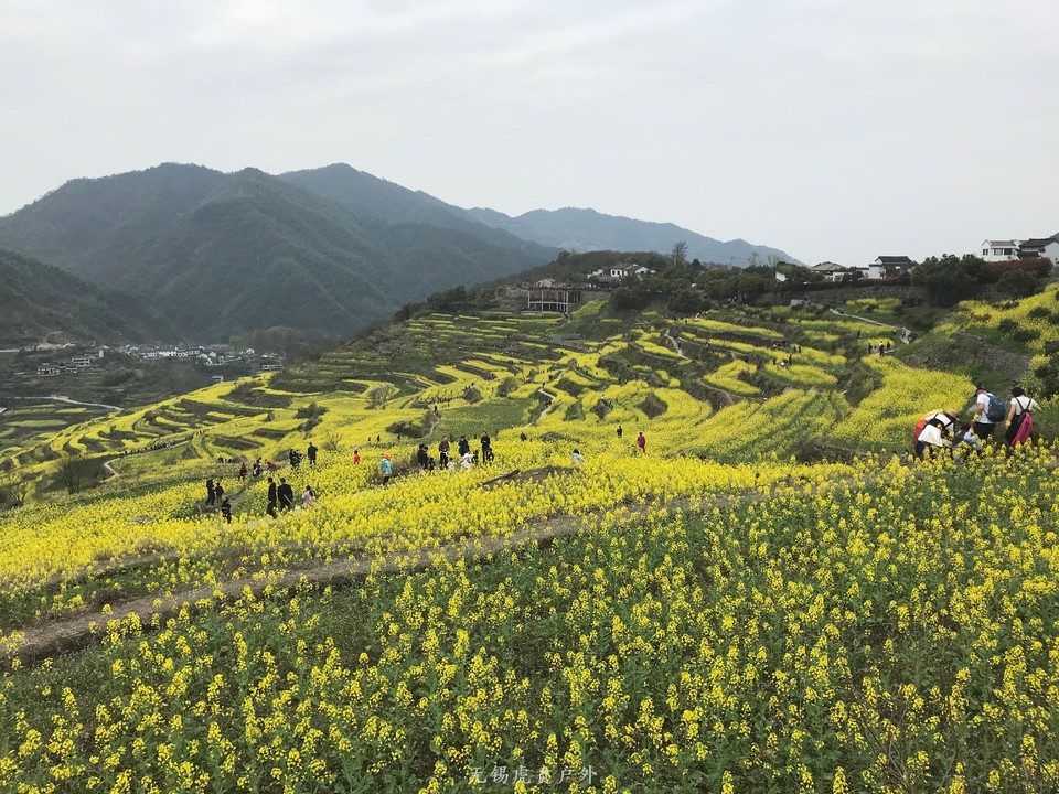 mmexport1522024297119