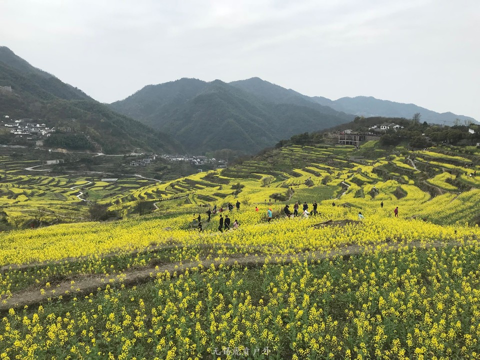 mmexport1522024300276