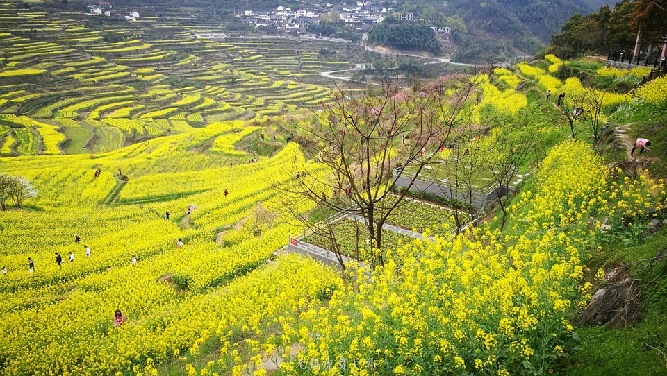 mmexport1522024352885