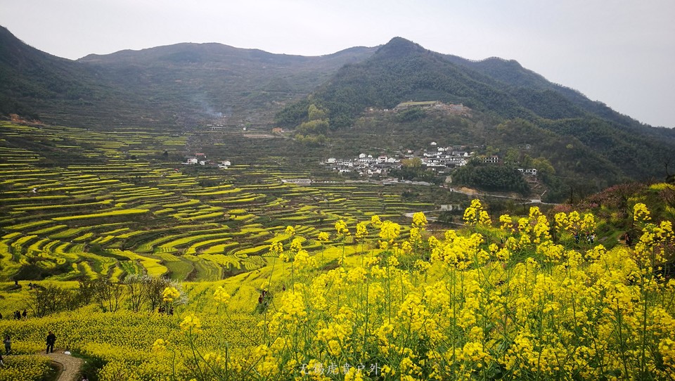 mmexport1522024356132