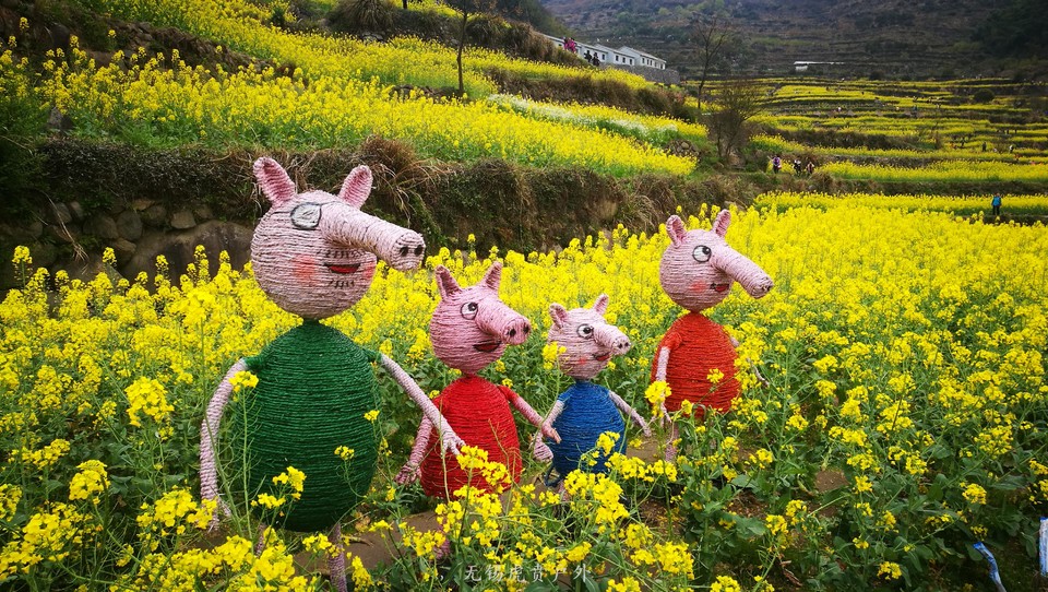 mmexport1522024361133