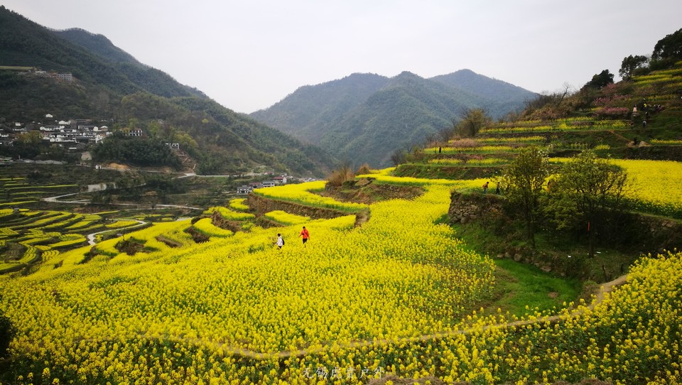 mmexport1522024364362