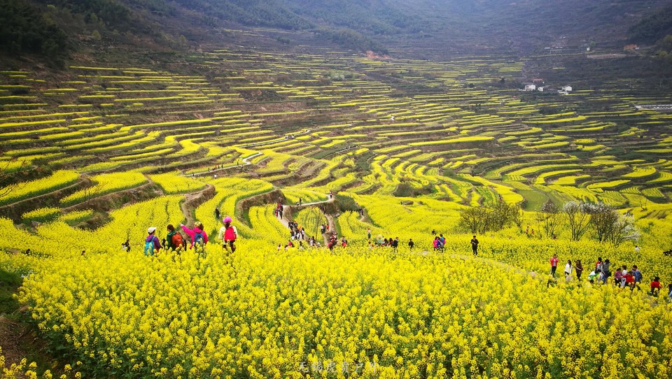 mmexport1522024371814