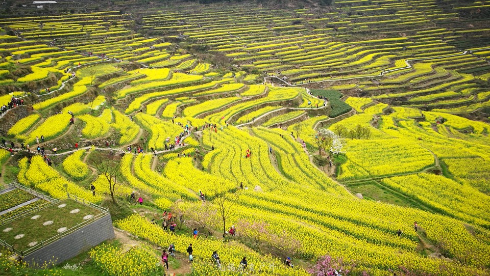 mmexport1522024374932