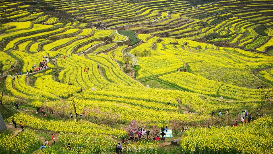 mmexport1522024377353