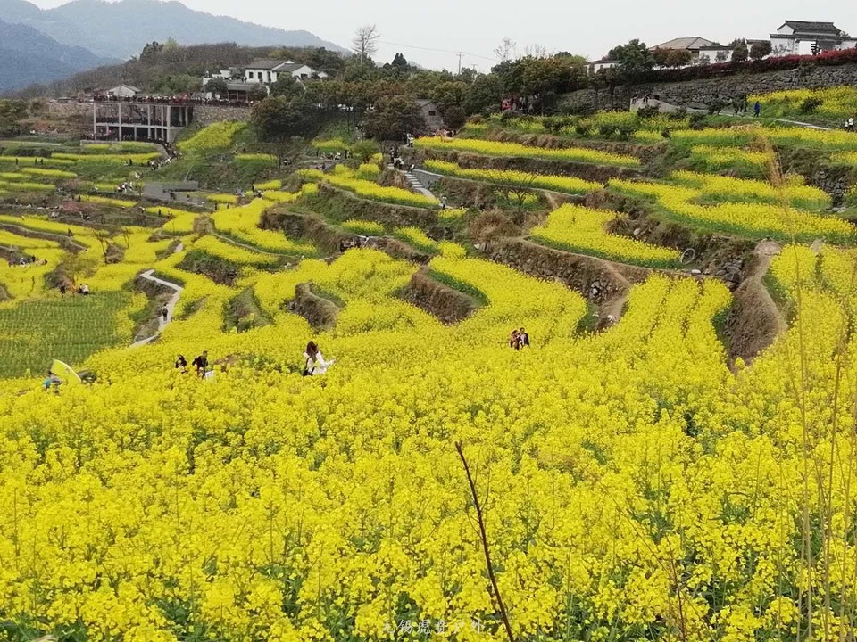 mmexport1522024379214