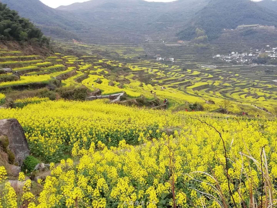 mmexport1522024381914