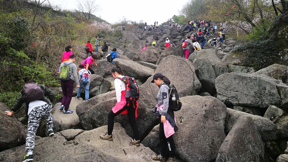 微信图片_20180326223103