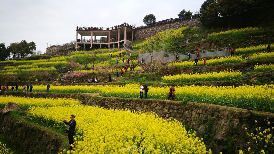 微信图片_20180326223500