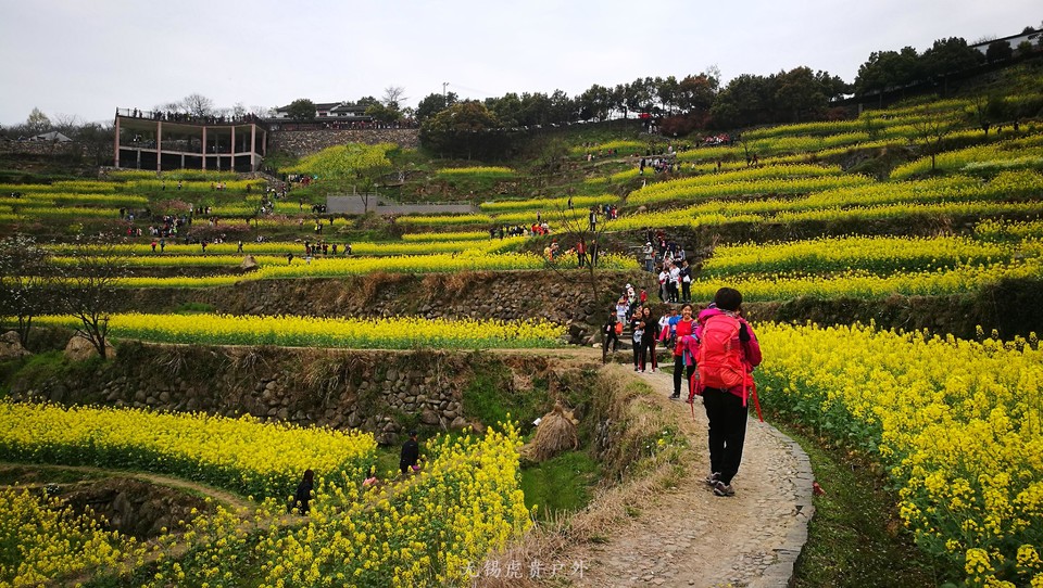 微信图片_20180326223533