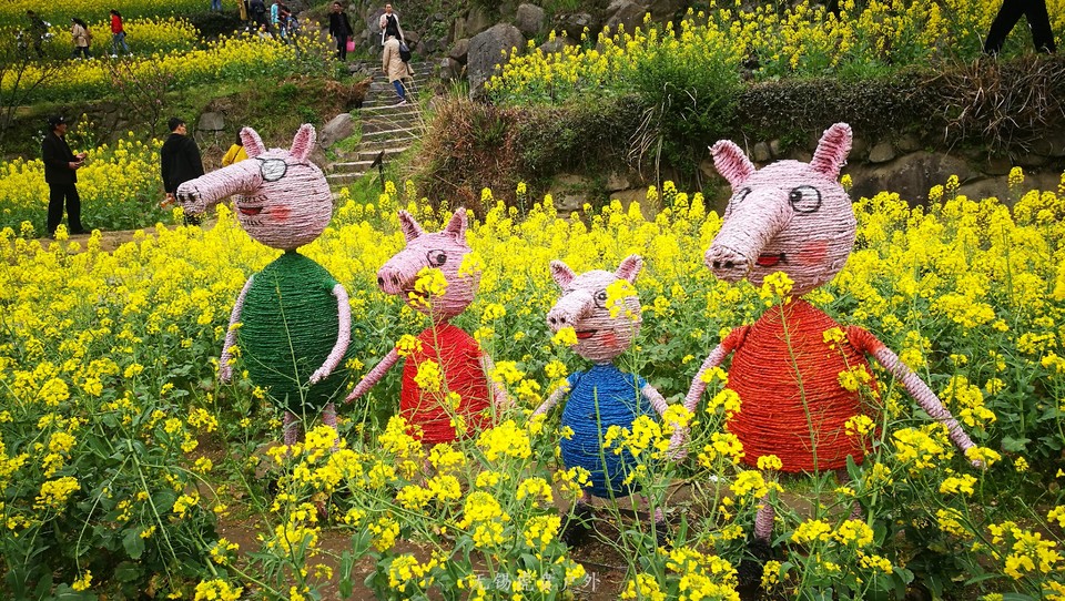 微信图片_20180326223645