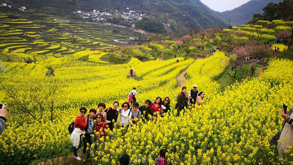 微信图片_20180326223659