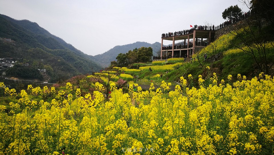 微信图片_20180326223710