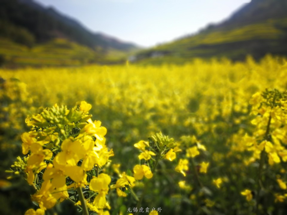 mmexport1522023588874